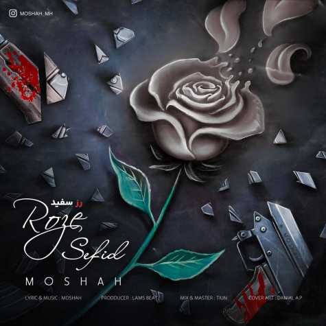 دانلود آهنگ مشاح رز سفید دانلود آهنگ مشاح رز سفید