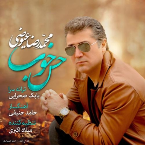دانلود آهنگ حس خوب از محمدرضا عیوضی دانلود آهنگ حس خوب از محمدرضا عیوضی