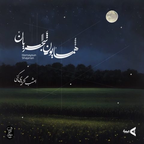 دانلود آهنگ امشب اگر یاری کنی از همایون شجریان
