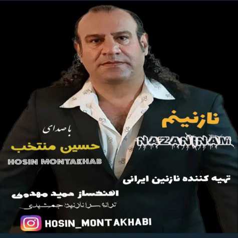 دانلود آهنگ نازنینم از حسین منتخب