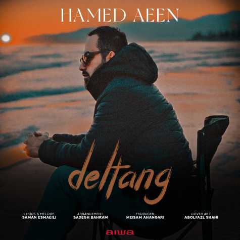 دانلود آهنگ حامد آئین دلتنگ دانلود آهنگ حامد آئین دلتنگ