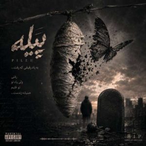دانلود آهنگ حد پیله دانلود آهنگ حد پیله