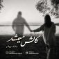 دانلود آهنگ بابک بهادر کاش میشد